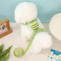 Light green waffle-textured pet harness and leash set with cute plush bee decoration - S / Green