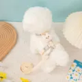 Cute cream adjustable pet harness and leash set featuring a plush 3D rabbit decoration - Size M 1.5cm*1.2m (Rec. 3.5-6.5kg) / B Off-White Rabbit