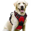 Adjustable red nylon dog harness for large breeds with heavy-duty padding and D-ring - S / Red