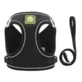 Black reflective breathable dog harness and leash set for small dogs with green logo - XS / Black