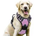 Adjustable pink nylon dog harness for large dogs with reflective safety straps and D-ring - S / Pink