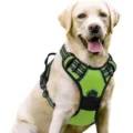 Adjustable lime green reflective dog harness for large dogs with breathable mesh - S / Fluorescent Green