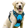 Durable blue nylon dog harness for large dogs with reflective adjustable straps - S / Sky Blue