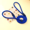 Detailed view of heavy-duty blue braided rope slip lead for medium large dogs - Sapphire Blue