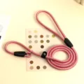 Close-up detail of a pink patterned round nylon P-leash for professional dog training - Size M (0.8cm * 1.3m) / Pink