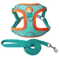 Detailed view of the reflective deer suede dog harness and matching leash set in teal - Lake Blue