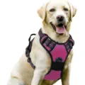 Adjustable pink nylon dog harness for large breeds, no-pull vest style - S / Rose Red