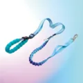 Adjustable dopamine blue anti-shock bungee pet leash with padded handle - Gradient Cyan-Blue Single Leash