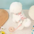 Soft adjustable pink rabbit themed pet harness and leash set for small cats and dogs - Size S 1.0cm*1.2m (Rec. 1.5-4kg) / C Pink Rabbit