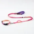 Dopamine-colored elastic pet leash and collar set in pink and purple gradient - Gradient Purple Pink + Collar S