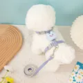 Adjustable purple pet harness and leash set with cute blue bunny decoration - Size S 1.0cm*1.2m (Rec. 1.5-4kg) / D Blue Rabbit