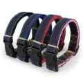Surtido de collares para perros en mezclilla con forros de colores y hebillas - Collar individual (color aleatorio)