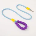 Durable blue pet dog leash featuring an ergonomic purple bubble foam handle grip - Standard Blue (1.0cm Thick * 1.5m Long)