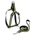 Reflective dog harness and leash set with neon green safety strips on black nylon - 2.0cm Wide / Fluorescent Green