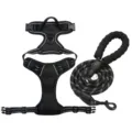 Reflective black nylon dog harness and leash set with padded handle. - S / Black [Harness + Leash] Set