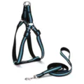Reflective blue and black pet dog harness and leash set with durable metal buckle - 2.0cm Wide / Sky Blue