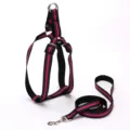 Reflective pink and black dog harness and leash set for small to medium dogs - 2.0cm Wide / Rose Red