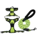 Durable reflective neon green nylon dog harness and padded handle rope leash set - S / Fluorescent Green [Harness + Leash] Set