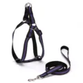 Reflective purple and black dog harness with matching leash set for safe pet walking - 2.0cm Wide / Purple