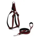 Reflective black and red dog harness and leash set for small to medium pets - 2.0cm Wide / Red