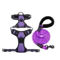 Reflective purple nylon dog harness set with heavy-duty braided leash for large dogs - S / Purple [Harness + Leash] Set