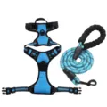 Blue reflective nylon dog harness and leash set with padded handle for large dogs - S / Sky Blue [Harness + Leash] Set