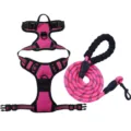 Pink reflective nylon dog harness and leash set with comfortable padded foam handle. - S / Rose Red [Harness & Leash] Set
