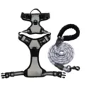 Reflective gray nylon dog harness and leash set with padded handle for large dogs - S / Grey [Harness & Leash] Set