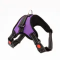 Detail view of a purple reflective pet harness with adjustable straps and metal ring. - XS / K7 Purple