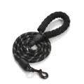 Reflecterende nylon hondenriem met comfortabele schuimrubberen handgreep honden. - Zwart
