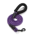 Durable purple reflective nylon dog leash with a comfortable soft foam handle - Length 1.5m * Diameter 1.2cm / Purple