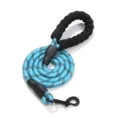Blue reflective nylon dog leash with comfortable foam handle and metal clip - Length 1.5m * Diameter 1.2cm / Sky Blue