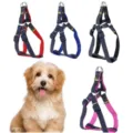 Adjustable denim pet harness set in four colors displayed with a cute puppy model - Size M - Width 1.5 cm / Single Harness Random Delivery
