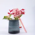 Pink tulip-shaped self-watering glass globe for indoor potted plants - Champagne
