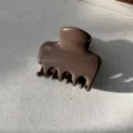 Nahaufnahme Detailansicht einer braunen Haarklammer im minimalistischen Glanz-Design für den Alltag. - Glänzender Stil / Dunkelbraun