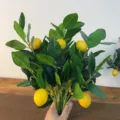 Ramo di Limone Artificiale Pianta Falsa di Frutta Decorazione da Tavola Verde Luce - Ramo di Limone / 6 Rami (Con Scatola di Carta)