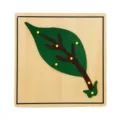 Montessori houten blad puzzel bord vroege educatie speelgoed voor kinderen en babys. - Blad