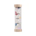 Children wooden rolling ball maze toy, natural wood finish and transparent tube variant. - Autumn