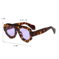Gafas de sol retro de polígono irregular para mujer y hombre, montura carey con lentes moradas. - Montura de Leopardo Lente Violeta