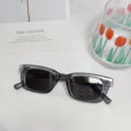 Graue transparente quadratische Sonnenbrille Mode Streetwear trendige Brille fuer Damen Alltag - Transparenter Grauer Rahmen & Graue Gläser