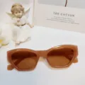 Gafas de sol irregulares de moda para mujer, gafas de sol geométricas retro marrones. - 53□20-142(13019) / Té de Gelatina