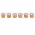 6-compartiment gouden acrylverf set 5ml voor kunst schilderen, keramiek en gips handwerk. - 5ml (6-Rooster) / Goud