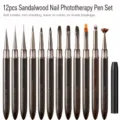 Set professionale di 12 pennelli per unghie in legno di sandalo per gel, pittura e sfumature. - Set completo da 12 pezzi