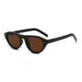 Schicke Sonnenbrille mit flacher Oberseite und Metalldetails für stilvolle Sommer-Streetwear. - C6 Schwarzer Rahmen Teebraune Gläser