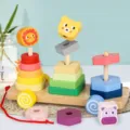 Hölzernes Zieh- und Stapelspielzeug, Montessori Förderspielzeug geometrische Formen für Kinder. - Standard