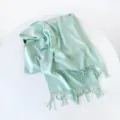 Sciarpa lunga tinta unita verde menta finto cashmere inverno caldo elegante scialle frange - Verde Frutta