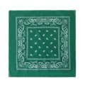 Grünes Paisley Bandana für Outdoor-Sport, 100% Baumwolle Radfahren Gesichtsmaske und Halstuch. - Grün