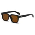 Klassische schwarze dicke quadratische Sonnenbrille mit braunen Gläsern im modernen Retrostil. - C2 Glänzend Schwarzer Rahmen Tee Linse