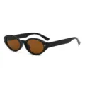Schwarze ovale Sonnenbrille mit braunen Gläsern und stilvollen Stern-Nieten für Damen. - C2 Glänzend Schwarz Rahmen Braune Gläser
