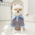 Close-up of a cute puppy wearing a blue and brown striped polo shirt and glasses. - XS / Polo Blue & Brown Striped